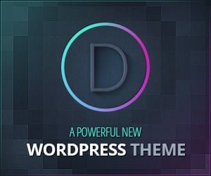 Divi Wordpress theme